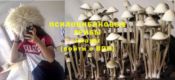 героин Новозыбков