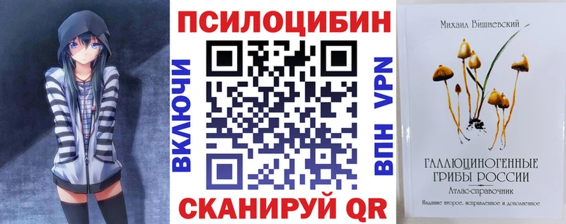 mega сайт  Торопец  Псилоцибиновые грибы Psilocybe  даркнет сайт 